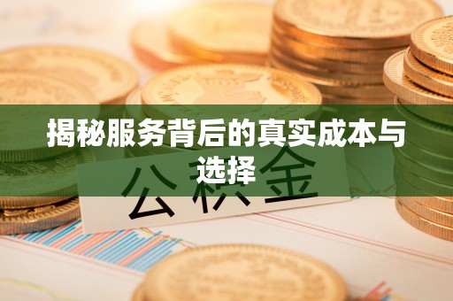 偏关揭秘服务背后的真实成本与选择