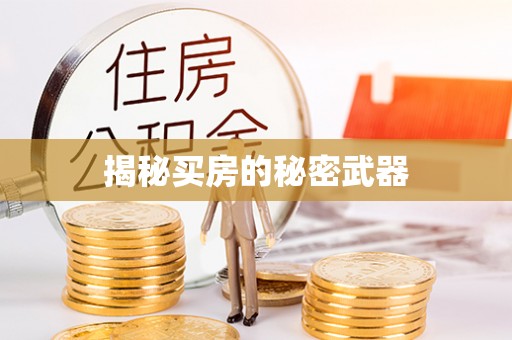 偏关揭秘买房的秘密武器