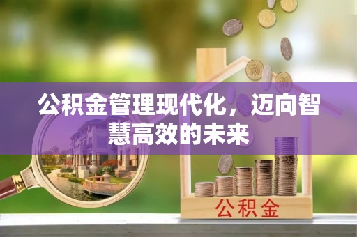 偏关公积金管理现代化，迈向智慧高效的未来