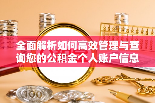 偏关全面解析如何高效管理与查询您的公积金个人账户信息
