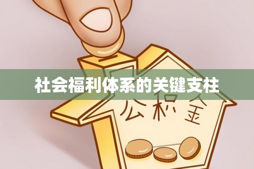偏关社会福利体系的关键支柱
