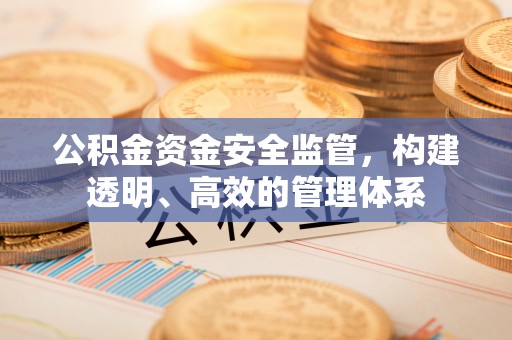 偏关公积金资金安全监管，构建透明、高效的管理体系