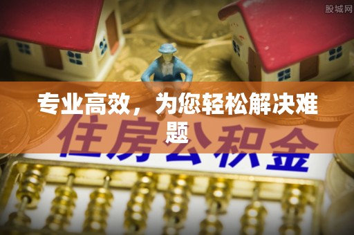 偏关专业高效，为您轻松解决难题