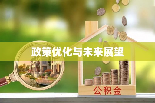 偏关政策优化与未来展望