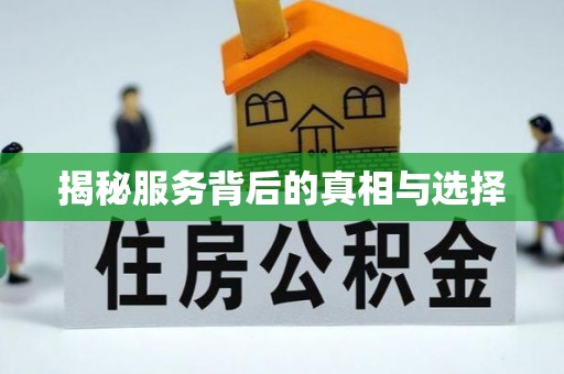 偏关揭秘服务背后的真相与选择