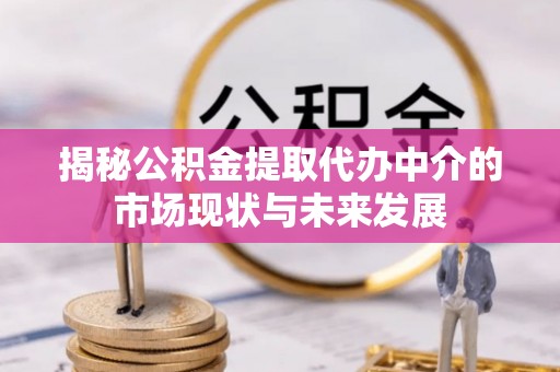 偏关揭秘公积金提取代办中介的市场现状与未来发展