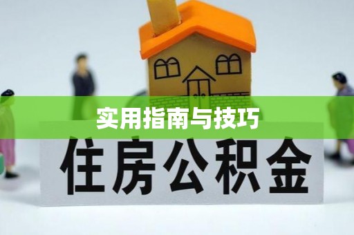 偏关实用指南与技巧
