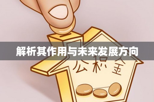 偏关解析其作用与未来发展方向