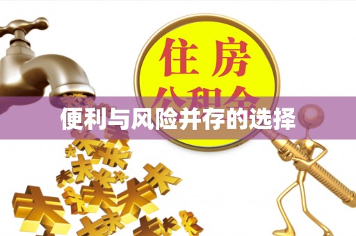 偏关便利与风险并存的选择