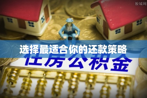 偏关选择最适合你的还款策略