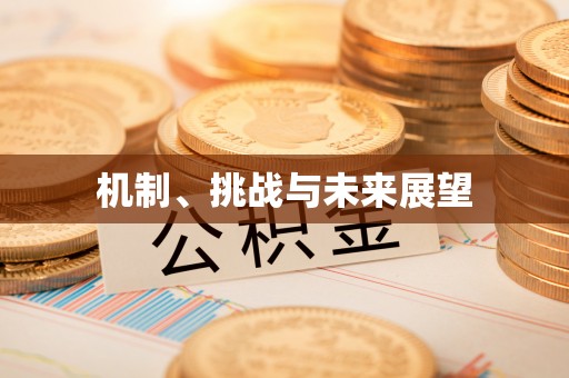 偏关机制、挑战与未来展望