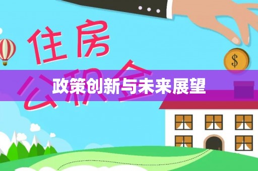 偏关政策创新与未来展望