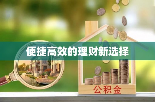 偏关便捷高效的理财新选择