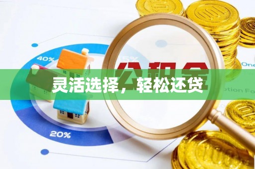 偏关灵活选择，轻松还贷