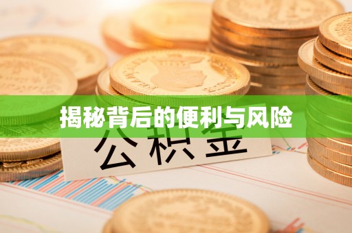 偏关揭秘背后的便利与风险